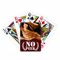 Pala prirodna fotografija PEEK Poker igračka karta Privatna igra