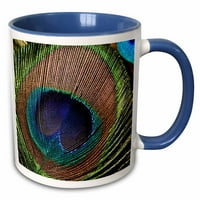 3Droza prekrasne peacock pero - ptice - dvije tone plave krigle, 11 unce