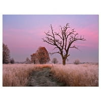 Dizajn Art Fairy Isunni Sunrise sa usamljenim drvenim fotografskim otiskom na omotanu platno