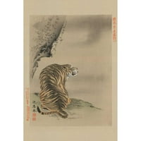 Nepoznati Crni moderni uokvireni muzej Art Print pod nazivom - Tiger