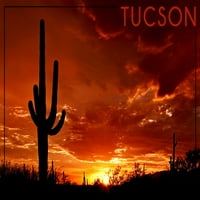 Tucson, Arizona, zalazak sunca i kaktusa, fotografija
