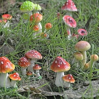 Talus Vrt Figurine Eko-prijateljska UV otporna na rezilu gusjena sredstva gljiva Soctue Bonsai dekor