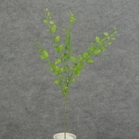 Torba od 6, umjetni mini sophora sprej 27.5 visok i ima stabljike pune bogatog zelenog lišća od plastike