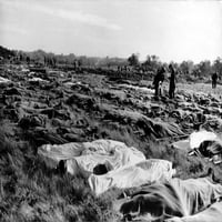 Stotine mrtvih vojnika u nosilima prekrivene pokrivačima nakon d-dana. Ubijen tokom Istorije Normandije