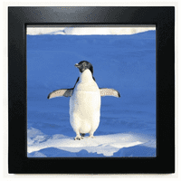Slatka bijela pingvinska nauka prirode Slika Crna kvadratna okvira Zidna stolna stola