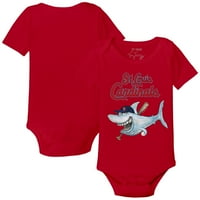 Dojenčad sićušni otvor crveni sv. Louis kardinals morski pas bodi