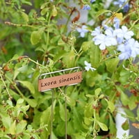 Groznosti Visoka bakrena ploča Metalna naljepnica Vrtni ulog Oznake za višekratnu sadnju vrtlarnih markera