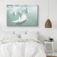 PIXONSIGN CANVAS Print Wall Arth Dolphin Pod Podvodni amfibijci Ocean Fotografija Moderna umjetnost Nautička izbliza Šareno plava ultra za dnevni boravak, spavaća soba, ured - 16 x24
