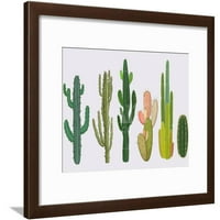 Kolekcija kaktusa u vektorskoj ilustraciji, botanička uramljena umjetnost Zidna umjetnost Roberto Chicano