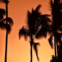 Palms na zalaskom za zalazak sunca Ispis Ashley Singleton NA1493