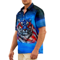 Fraigo Muška i dječak Novelty Hawaiian Dugme Swirts majice, Sjedinjene Američke Države Majice kratkog