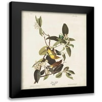 Audubon, John James Crni moderni uokvireni muzej Art Print pod nazivom - PL Pine Warbler