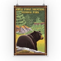 Sjajan zamirni planinski nacionalni park, Tennessee, Crni medvjed u šumi