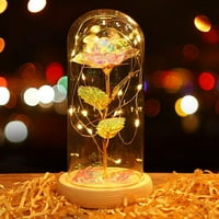 Galaxy Rose LED lagana cvjetna staklena kupola za djevojku supruga majka Pokloni nas
