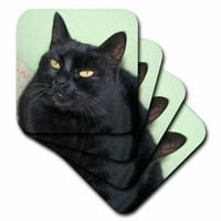 3drose crna mačka portret crna mačka koja se pozira na zeleni zid sa upečatljivim žutim očima, mekim