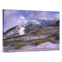 Global Gallery In. Elk planine sa snijegom u jesen, Colorado Art Print - Tim Fitzharris