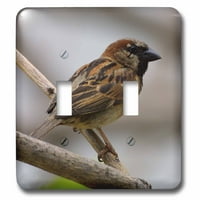 3Droza Kuća Sparrow - Dvostruki preklopni prekidač