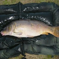 Pecanje šarana ribolov ribolov Neskladno jastučić sklopiva slijepa pjena Mat Big Fish Mat