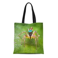 Platno torba Šareno obožavajuće skakačeći pauk na zelenom listu u rame za višekratnu upotrebu Trgovinske torbe