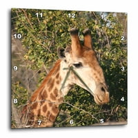 3DROZA Južnoafrička žiraff Headface - Zidni sat, prema