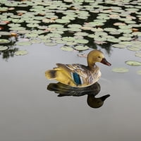 Općise Realistic Duck Duck Kip Fine Simbol smola Art Craft Mandarinski pačji ukras za bazen Multicolor