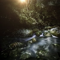 Rijeka u šumi na zalasku sunca, Ritsa Prirodni rezervat, Abhazia, Gruzija. Print plakata