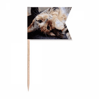 Stripes Kitty Cat Rela Animal Predispozitna zastava za zube zastava za označavanje za zabavu