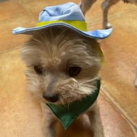 Set Count Hat Bib odijelo - udobne pse mačke kaubojski šešir i ručnik sa pljuvačnim peškirom - stilski dodaci za kućne ljubimce