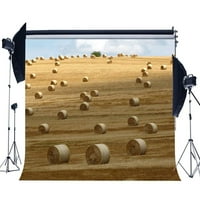 Poliester 7x5FT rustikalno poljoprivredno zemljište Straike haystack pozadine priroda pšenična polja