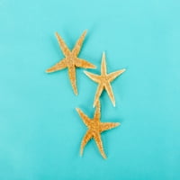 Sitne zvijezde za izradu ili ukrašavanje - Dekor na plaži Star Fish