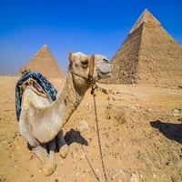 Laminirane kamile čuva piramide GIZA Egipat Pejzaž fotografije Fotografija postera za sušenje Erase