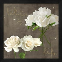 Metaarse r958723-0120000-aeaaaaaean 13. 13. In. Bijele ruže uokvirene zidne umjetnosti Teo Rizzardi
