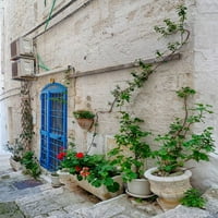 Italija, Puglia, Brindisi, Dolina Itria, Ostuni Plava vrata i biljke ulica uz uličice i ulice starog