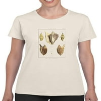 Majica Strombe školjke Žene -Denis Diderot dizajni, ženska mala
