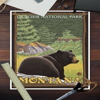 Nacionalni park Glacier, Montana, crni medvjed u šumi
