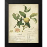 Descubes, A. Crni moderni uokvireni muzej umjetnički print pod nazivom - Descube Botanical I