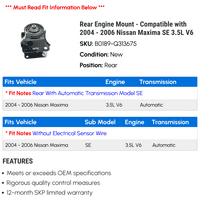 Zadnji nosač motora - kompatibilan sa - Nissan Maxima SE 3.5L V 2005