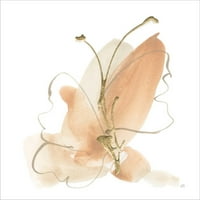 Sjajna umjetnost sada leptir cvijet II by Chris Paschke, uokvirena zidna umjetnost, 25W 25h