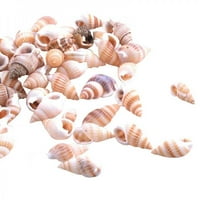 Prirodne školjke u obliku ukrasa akvarij Dekoracija Festival Početna Dekor Natural Sea Beach Shell Conch