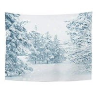 Plava sniježna pahuljica svijetla zimska pejzažna snijega natkrivena božić božićna biljka zidna umjetnost