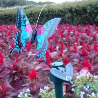 Ples na solarnom napajanje lepršavim leptirima koji leteći humming ptice vrtni ukras dvorišta