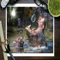 Hippos i Bubbles