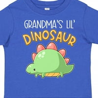 Inktastična baka lil 'dinosaur sa slatkim Stegosaurus poklon dječakom majicom ili majicom mališana