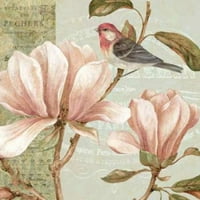 Kolaž za magnoliju i poster Print Pamela Gladbay