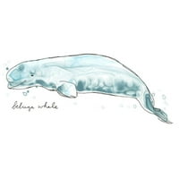 Vest, jun Erica Crni moderni uokvireni muzej umjetničko tiskanje pod nazivom - Cetacea Beluga Whale