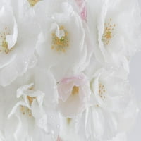 White Cherry Cvjetovi i poster Print Kathy Mahan