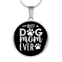 Najbolja pseća mama ikad prozirna_ krug ogrlica od nehrđajućeg čelika ili 18k zlato 18-22