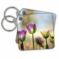 3Droze šareni, difuzni tulipani - ključni lanci, 2. po, setu 2