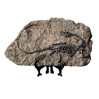 HGW Decor Decor Dinosaur fosilss Dekoracija umjetnička dekoracija ukras resona ručno izrađena ukrasna
