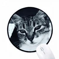 Životinjska cool siva mačka fotografija miša jastučić za radnu površinu Office Round Mat za računar